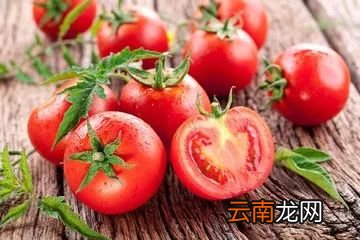 西红柿的营养价值 常吃西红柿好处太多