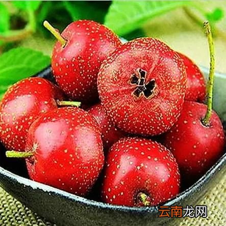 山楂有什么功效 山楂配它还能降血压