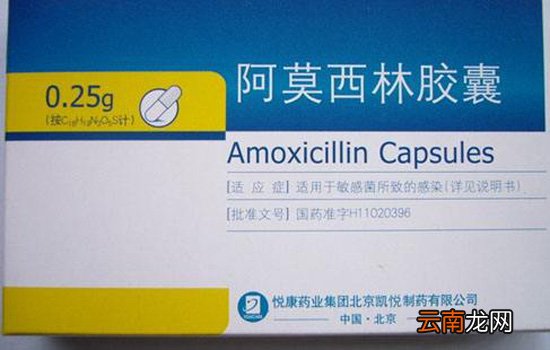 扁桃体发炎吃阿莫西林还是头孢好 还要看过敏和耐药情况