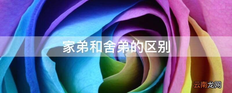 家弟和舍弟的区别