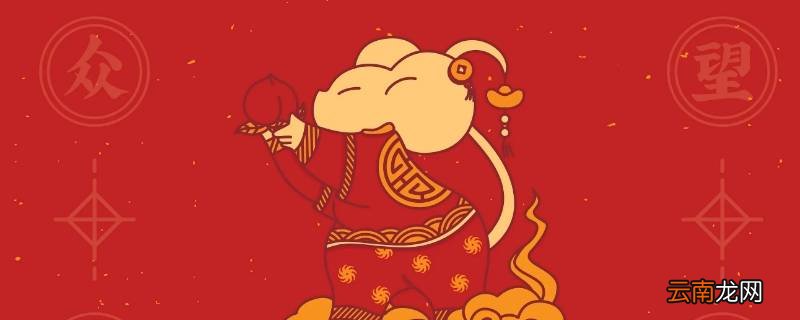 老鼠是什么年