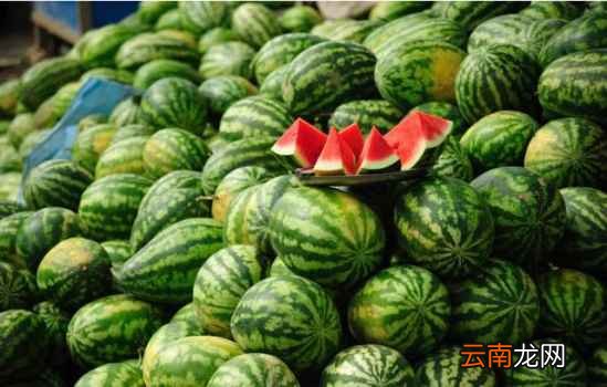 挑选水果的小窍门 双手奉上秘籍