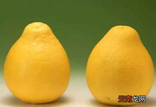 吃柚子的好处 柚子的功效太多了