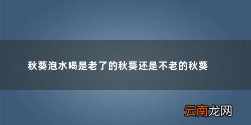 秋葵老了能泡水喝吗 秋葵泡水喝是老了的秋葵还是不老的秋葵