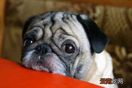 水果怎么清洗干净点 这几种水果你洗干净了吗