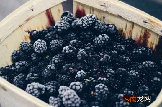 水果怎么清洗干净点 这几种水果你洗干净了吗