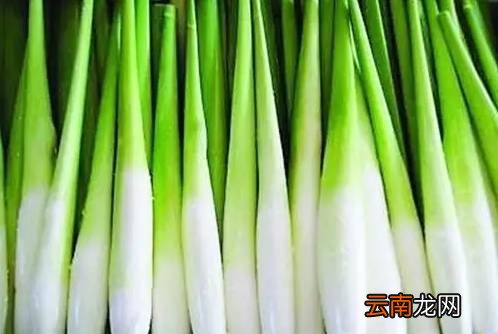 蔬菜没煮熟会中毒吗 这几种蔬菜没熟千万勿吃