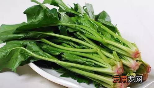 蔬菜没煮熟会中毒吗 这几种蔬菜没熟千万勿吃