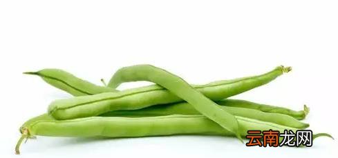 蔬菜没煮熟会中毒吗 这几种蔬菜没熟千万勿吃