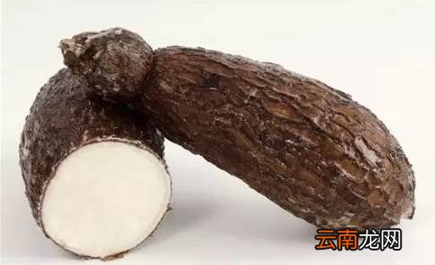 蔬菜没煮熟会中毒吗 这几种蔬菜没熟千万勿吃