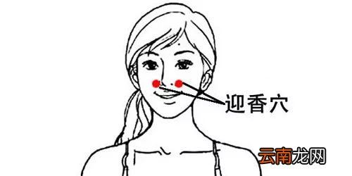 中医治疗鼻炎的方法 怎么有效缓解鼻炎好