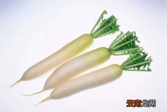 有药效作用的食物 不仅好吃疗效还好