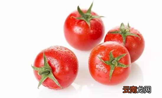 有药效作用的食物 不仅好吃疗效还好