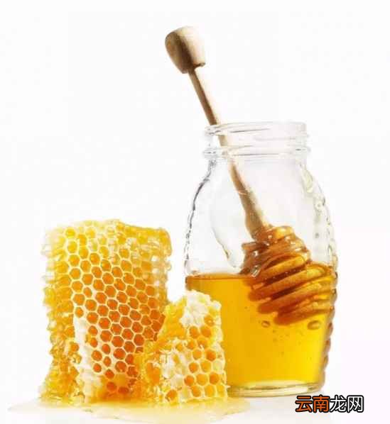 有药效作用的食物 不仅好吃疗效还好