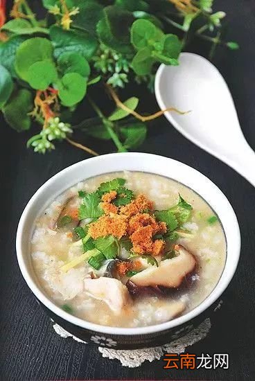 营养粥食谱做法大全 白粥怎么做最有营养