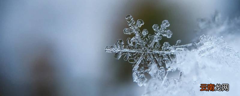 雪花的形状具备什么特点