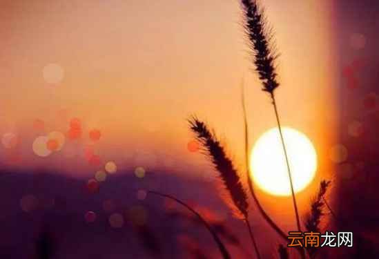 为什么要坚持五点钟起床 答案让人吃惊