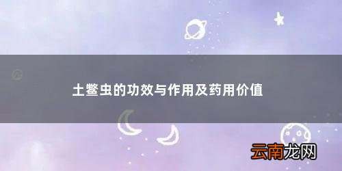 土鳖虫的作用与功效用量 土鳖虫的功效与作用及药用价值