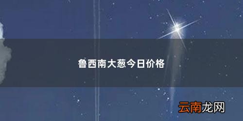 大葱各地零售价格多少钱一斤 鲁西南大葱今日价格