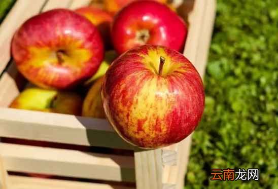 蔬菜水果怎样保鲜 这样比冰箱还得管用