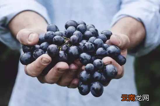 蔬菜水果怎样保鲜 这样比冰箱还得管用