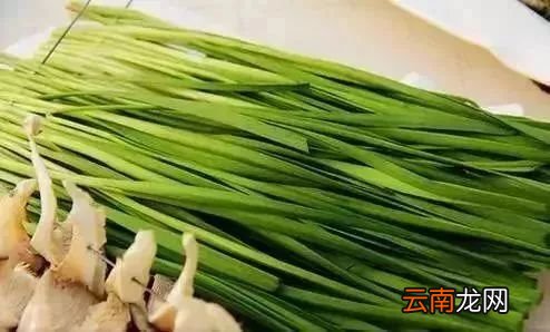 吃韭菜的功效 常吃韭菜壮阳补肾好