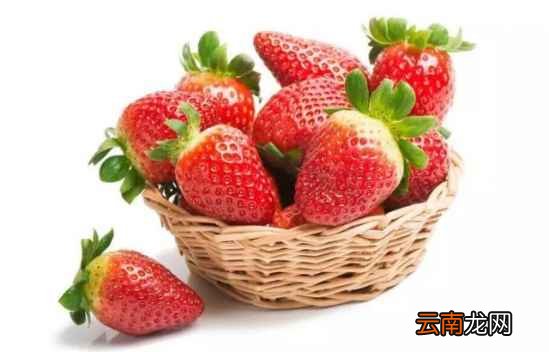 草莓酵素的做法 只需四步即可搞定