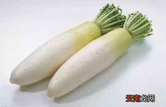 止咳食疗偏方秘方 多吃这些食物治咳嗽好