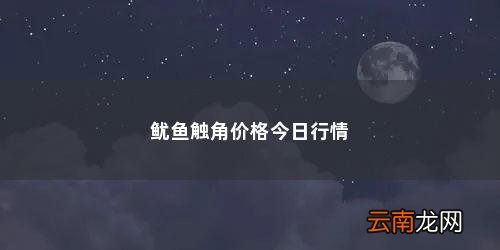 鱿鱼怎么做好吃呀窍门 鱿鱼触角价格今日行情