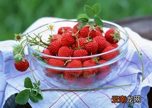 脾虚肝火旺盛怎么调理 有这些症状需要注意了