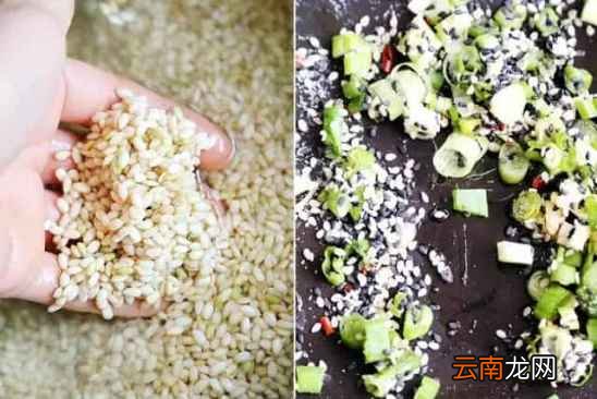 糯米美食的做法大全 糯米这样做比粽子还好吃
