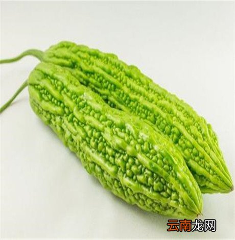 苦瓜的饮食禁忌 苦瓜切勿与这些同食