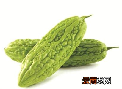 苦瓜的饮食禁忌 苦瓜切勿与这些同食