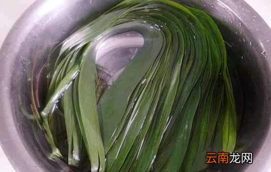 粽叶怎么洗 粽叶清洗后怎么处理