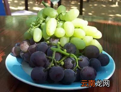 各种水果该怎么清洗 这些小技巧分享给大家