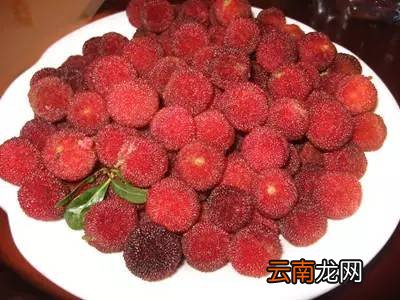 各种水果该怎么清洗 这些小技巧分享给大家