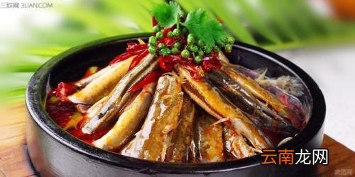 吃泥鳅的好处及禁忌 泥鳅饮食搭配禁忌介绍