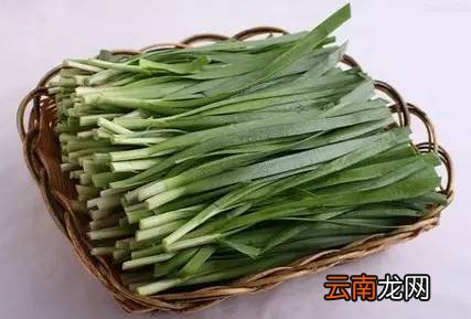 吃韭菜的好处 吃韭菜好处太多了