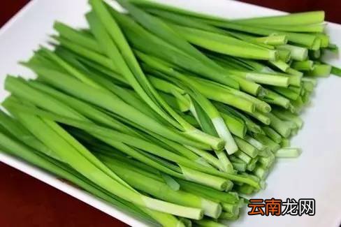 吃韭菜的好处 吃韭菜好处太多了