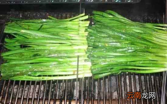 吃韭菜的好处 吃韭菜好处太多了