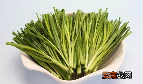 吃韭菜的好处 吃韭菜好处太多了