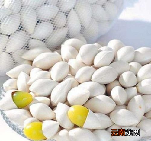银杏果不适合哪些人吃