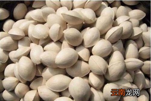 银杏果什么人能吃