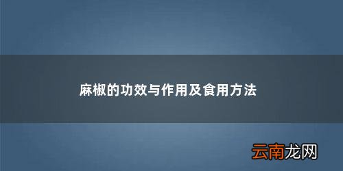 麻椒有哪些使用方法与功效图片 麻椒的功效与作用及食用方法