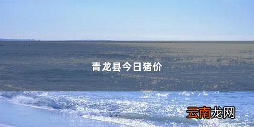 今天的猪价是多少钱一公斤 青龙县今日猪价