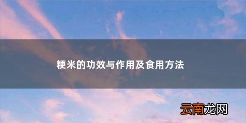 粳米的功效与作用及食用方法