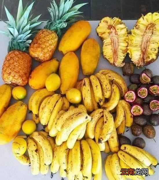 香蕉皮的生活妙用 香蕉皮用处竟这么多