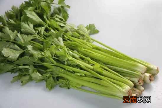 生姜的饮食禁忌 生姜绝不能和它一起吃