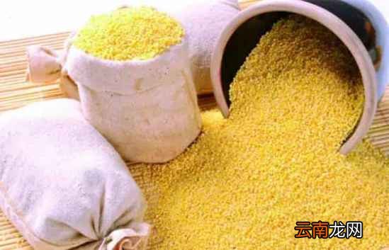 长寿老人饮食健康 想长寿就多吃这些食物