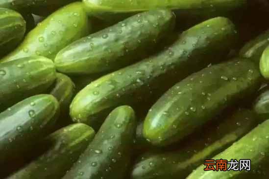 什么食物不合适放冰箱 这10种食物扔掉都别放